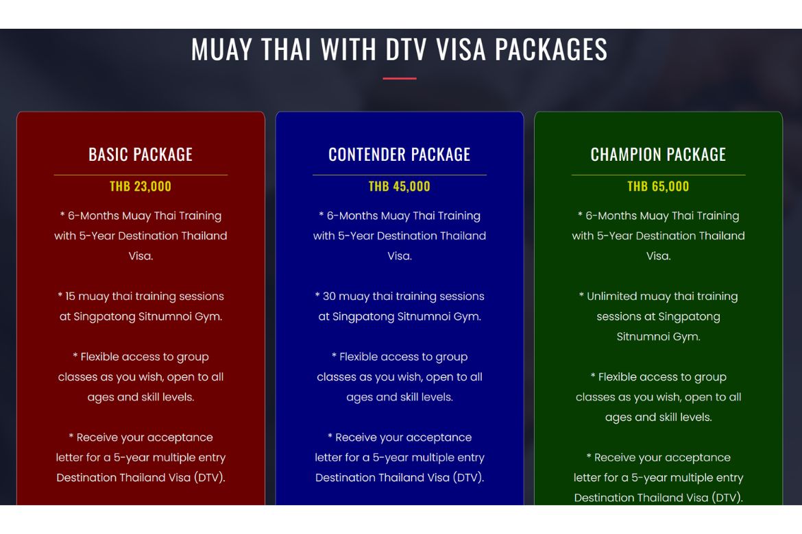 dtv visa packages